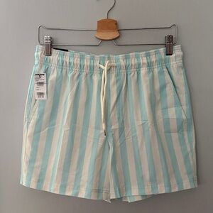 Mens RSQ Swim Shorts